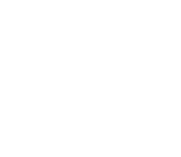 white hexagon
